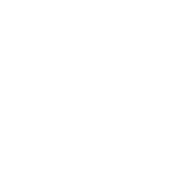 Parachute Icon